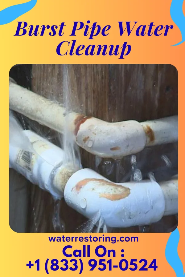 Burst Pipe Water Cleanup in Raubsville, PA