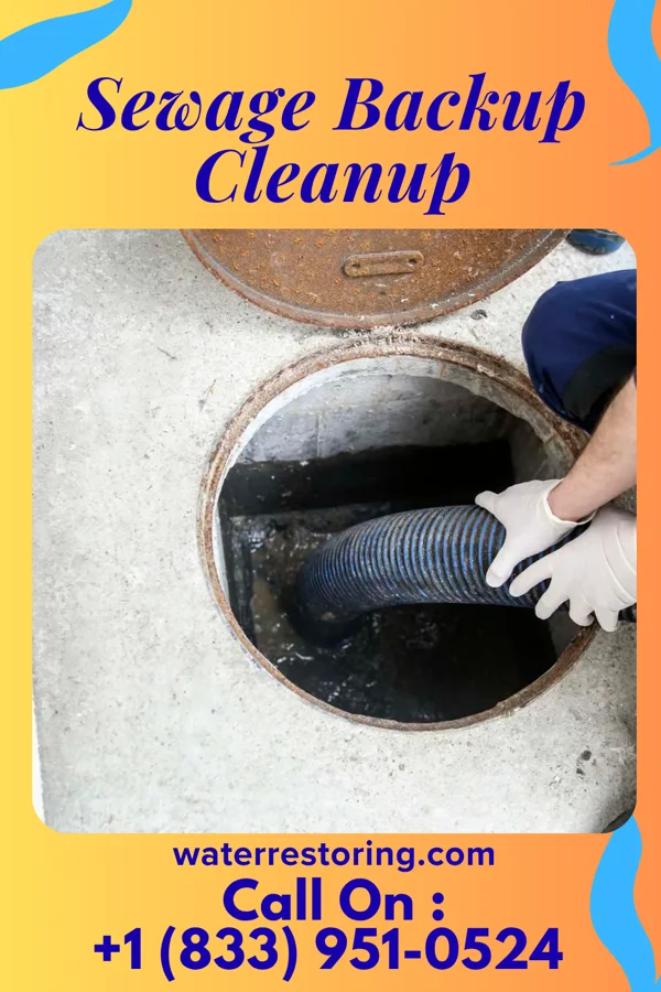 Sewage Backup Cleanup in Raubsville, PA