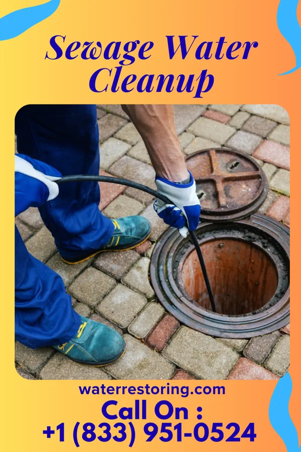 Sewage Water Cleanup in Raubsville, PA